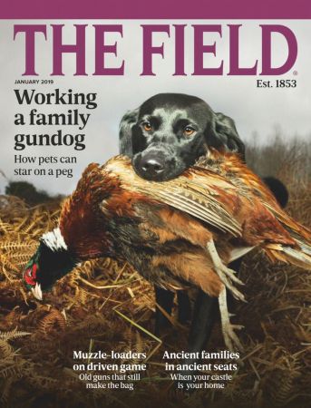 The Field - January 2019