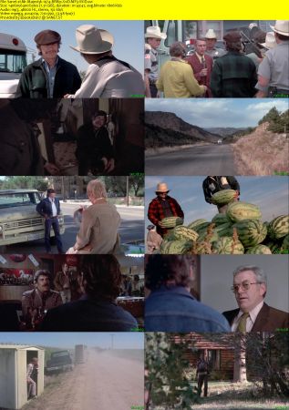 Mr. Majestyk 1974 BRRip XviD MP3-XVID
