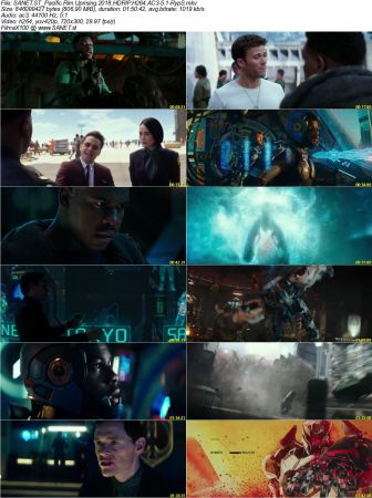Movie Collection 2018-RypS