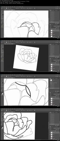 How to Draw Flowers in Photoshop CC