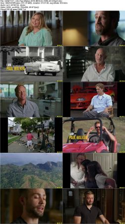 Movie Collection 2018-RypS