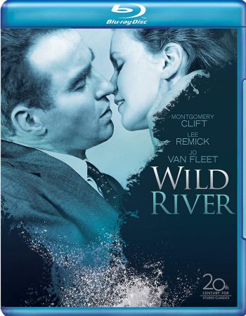 Wild River 1960 720p BluRay H264 AAC-RARBG