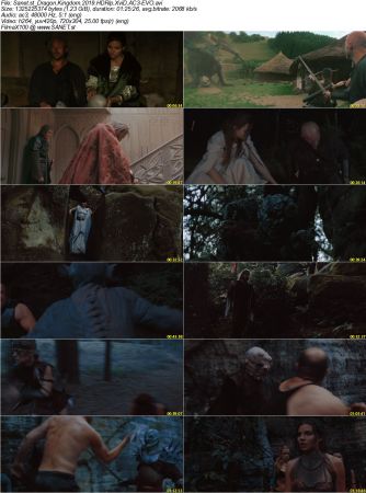 Dragon Kingdom 2019 HDRip XviD AC3-EVO
