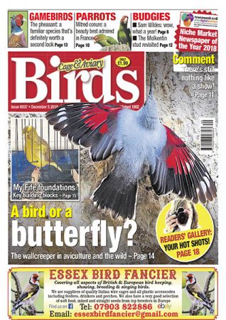 Cage &amp; Aviary Birds – December 05, 2018