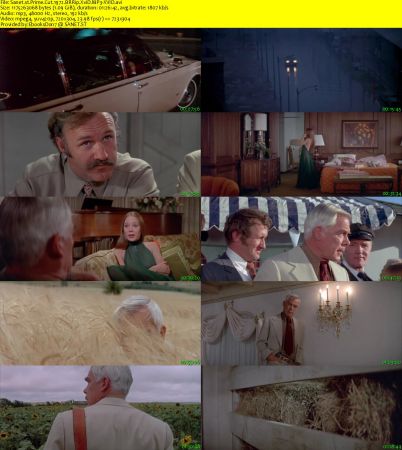 Prime Cut 1972 BRRip XviD MP3-XVID