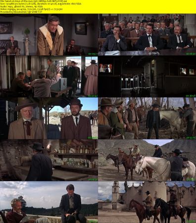 Hour of the Gun 1967 BRRip XviD MP3-XVID
