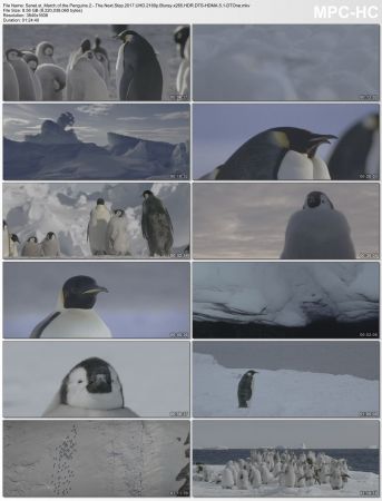 March of the Penguins 2 The Next Step 2017 UHD 2160p Bluray x265 HDR DTS HDMA 5.1-DTOne
