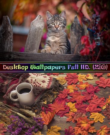 Desktop Wallpapers Full HD. Part (299)
