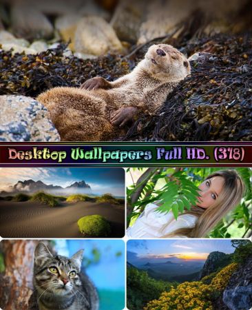 Desktop Wallpapers Full HD. Part (318)
