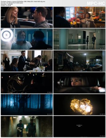 Venom 2018 BluRay 10Bit 1080p DD5 1 Multi H265-d3g