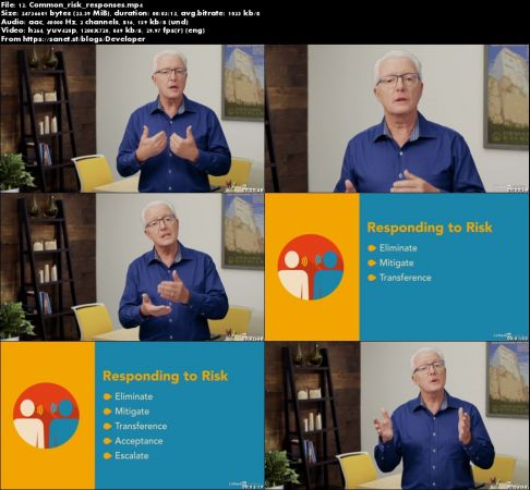 Project Management Foundations: Risk