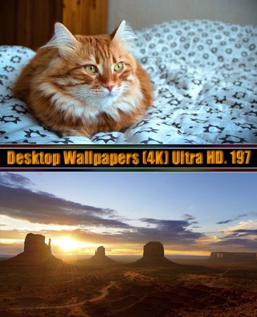 Desktop Wallpapers (4K) Ultra HD. Part (197)