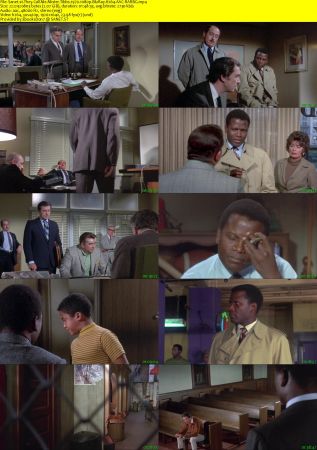 They Call Me Mister Tibbs 1970 1080p BluRay H264 AAC-RARBG