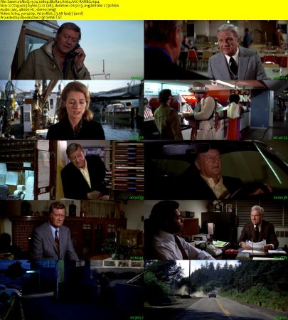 McQ 1974 1080p BluRay H264 AAC-RARBG