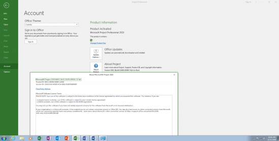 Microsoft Office Professional Plus Version 1811 (Build 11029.20108) (x86-x64) 2019