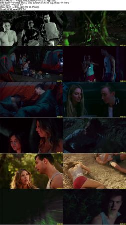 Movie Collection 2018-RypS