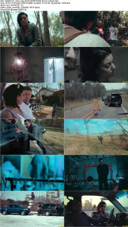 Movie Collection 2018-RypS