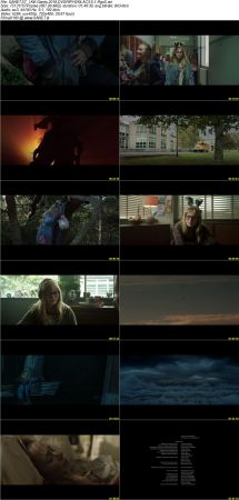 Movie Collection 2018-RypS