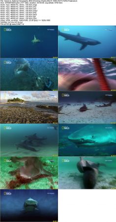 National Geographic Wild Shocking Sharks MULTi 1080i HDTV H264-Powerais