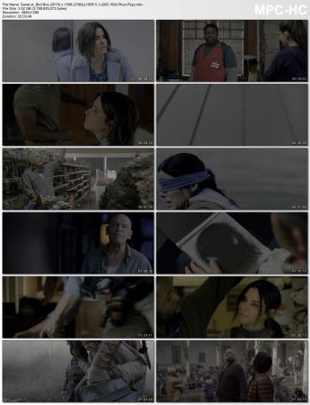 Bird Box 2018 2160p HDR 5.1 x265 10bit Phun Psyz