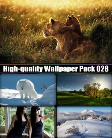 High-quality Wallpaper Pack 028