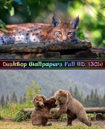 Desktop Wallpapers Full HD. Part (305)
