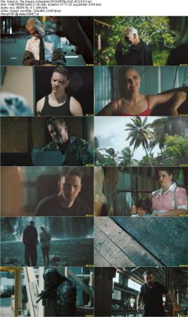 The Dragon Unleashed 2019 BRRip XviD AC3-EVO