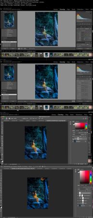 Summerana - Butterfly Forest - Magical Lightroom &amp; Photoshop Edit