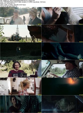 Movie Collection 2018-RypS