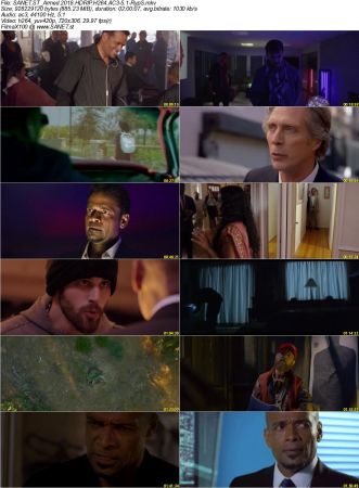 Movie Collection 2018-RypS