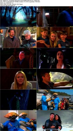 Movie Collection 2018-RypS