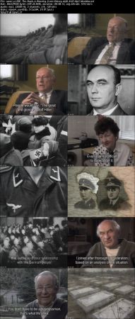The Nazis A Warning from History DVD XviD Mp3 NewMov