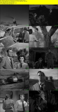 It Came from Outer Space 1953 BRRip XviD MP3-XVID