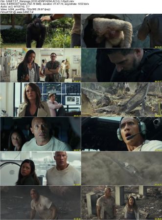 Movie Collection 2018-RypS