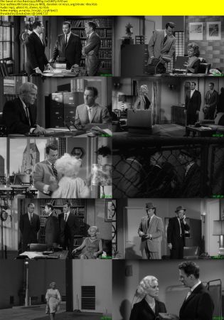 Vice Raid 1959 BRRip XviD MP3-XVID