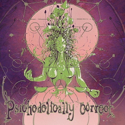 VA - Psychedelically Correct (2019)