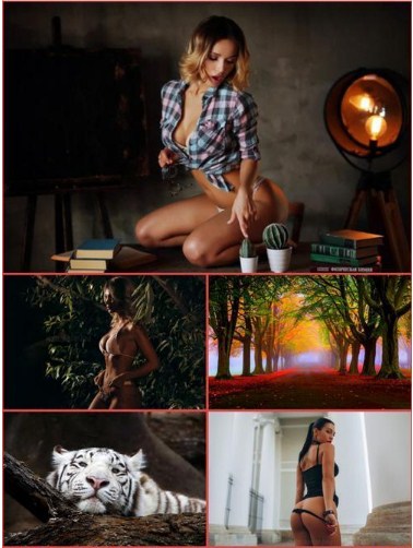 Desktop Wallpapers Mixed Pack # 340
