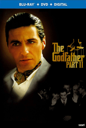 The Godfather Part II 1974 BluRay 10Bit 1080p DD5.1 H265-d3g