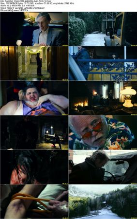 Polar 2019 WEBRip XviD AC3-FGT