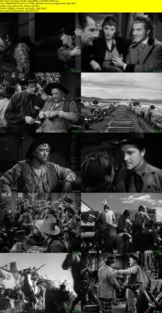 Union Pacific 1939 BRRip XviD MP3-XVID