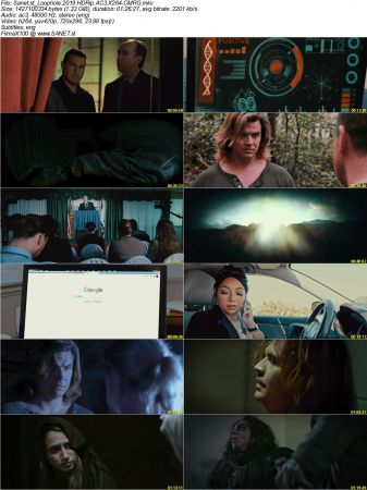 Loophole 2019 HDRip AC3 X264-CMRG