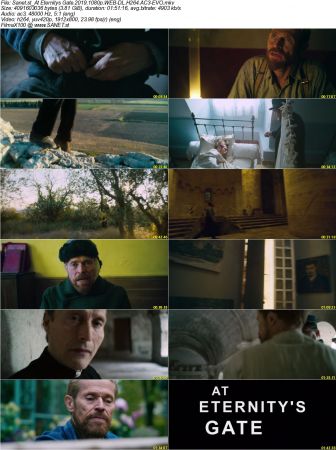 At Eternitys Gate 2019 1080p WEB-DL H264 AC3-EVO
