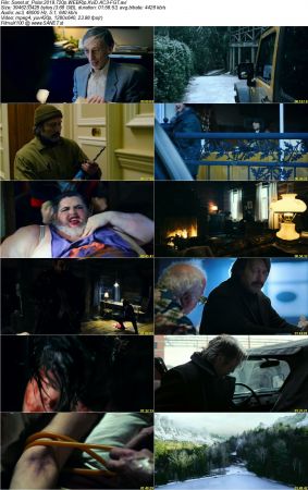 Polar 2019 720p WEBRip XviD AC3-FGT