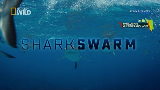 Nat Geo Wild Shark Swarm 2017 MULTi 1080i HDTV H264-Powerais