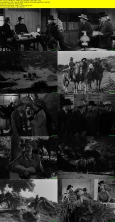 Oklahoma Raiders 1944 WEBRip x264-ION10