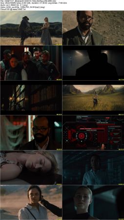 Westworld S02 720p BluRay x264-WiKi