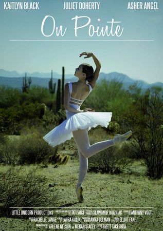 On Pointe 2019 1080p NF WEB-DL DD5.1 H264-EVO