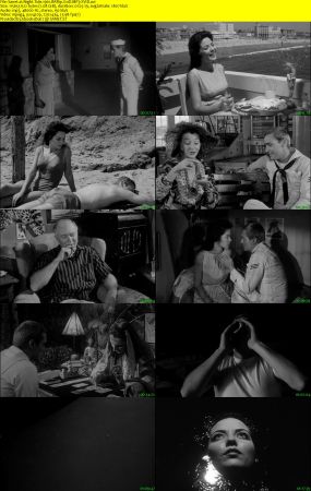 Night Tide 1961 BRRip XviD MP3-XVID