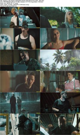 The Dragon Unleashed 2019 720p Bluray AC3 x264 AdiT