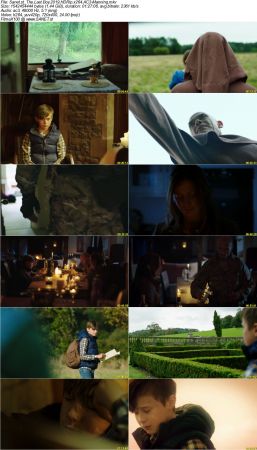 The Last Boy 2019 HDRip x264 AC3-Manning